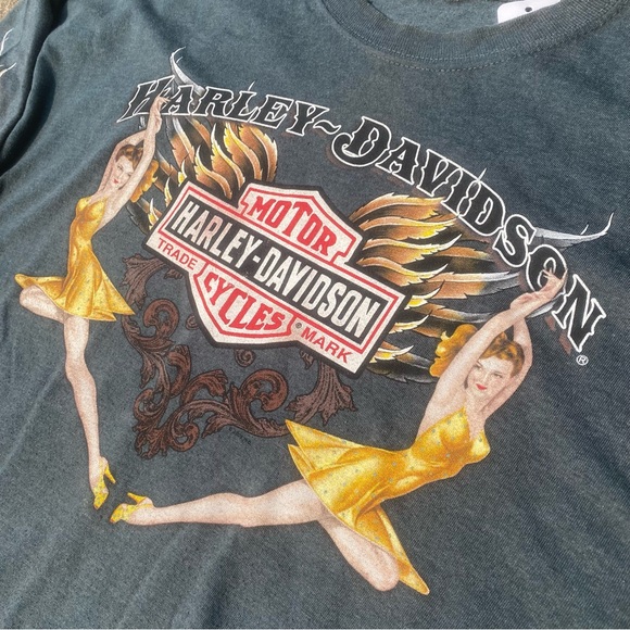 2009 Harley-Davidson Niagra Falls - Picture 3 of 7